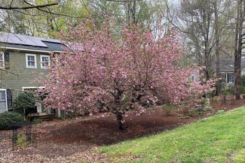 850 Langdon , Pittsboro, NC 27312