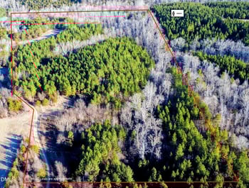 850 Vernon Rd, Blanch, NC 27212