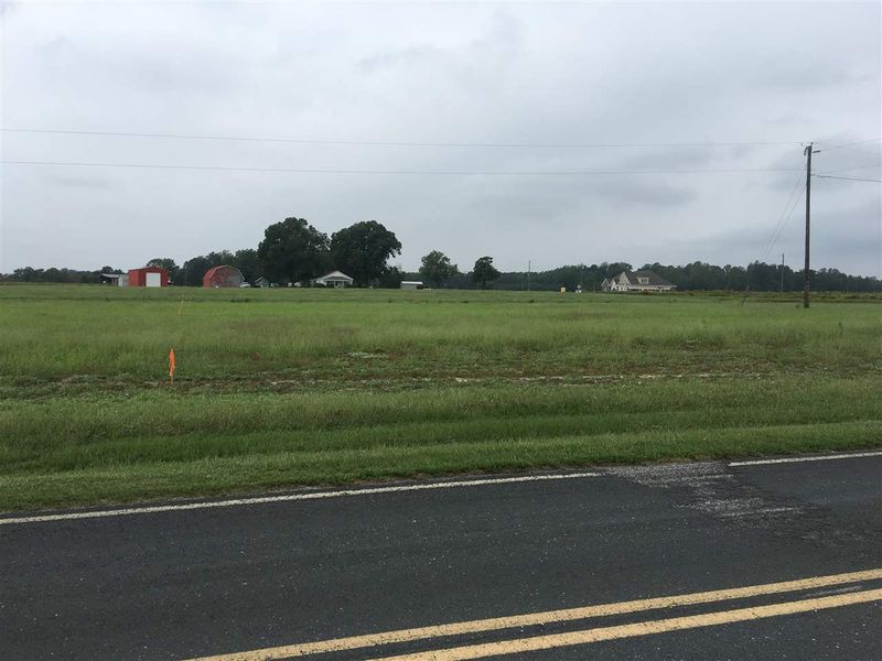 8516 Walter Myatt Rd Lot Three, Willow Springs, NC 27592