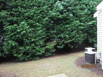 8521 Silhouette Pl, Raleigh, NC 27613