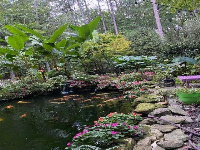 8537 Smith Rd, Apex, NC 27539