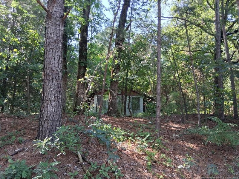 856 Harvey Lillie Ave, Hope Mills, NC 28348