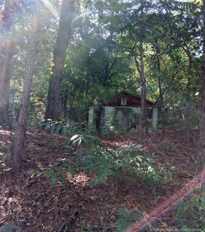 856 Harvey Lillie Ave, Hope Mills, NC 28348