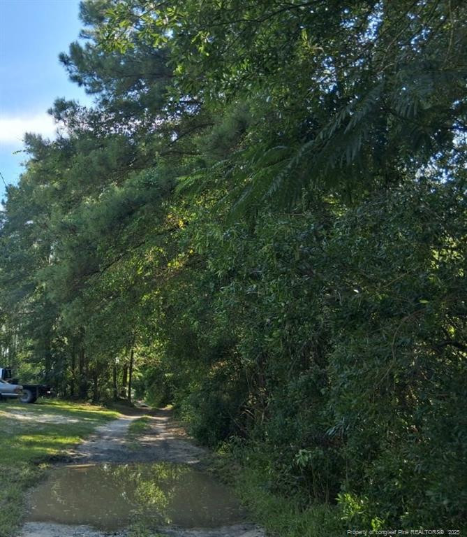 856 Harvey Lillie Ave, Hope Mills, NC 28348