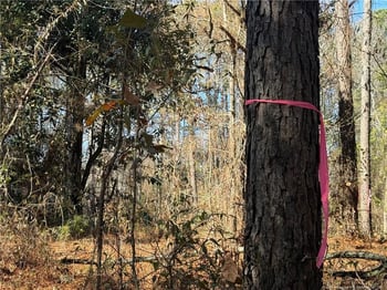 856 Harvey Lillie Ave, Hope Mills, NC 28348