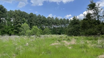 8561 Wake Forest Hw Lot 1, Raleigh, NC 27613