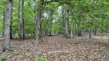 8561 Wake Forest Hw Lot 1, Raleigh, NC 27613