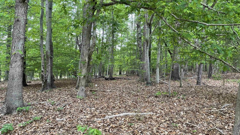8561 Wake Forest Hw Lot 1, Raleigh, NC 27613