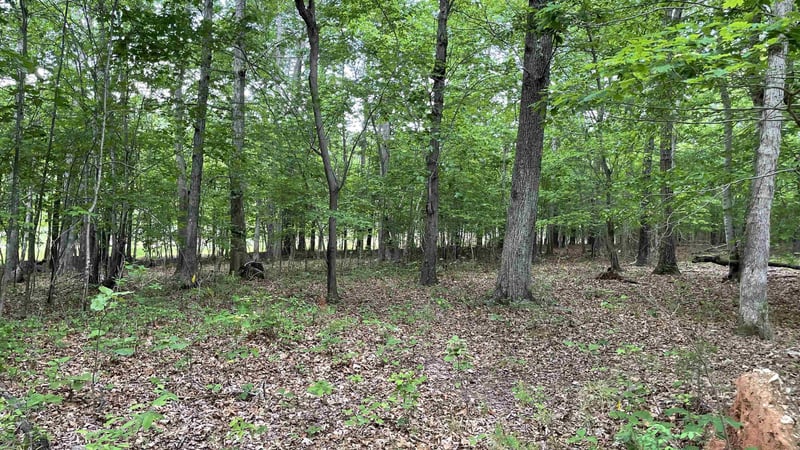8561 Wake Forest Hw Lot 1, Raleigh, NC 27613