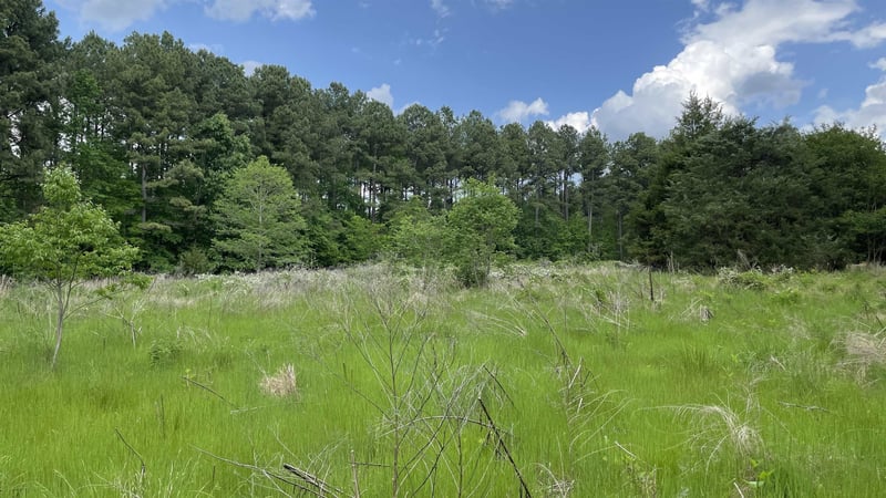 8561 Wake Forest Hw Lot 1, Raleigh, NC 27613