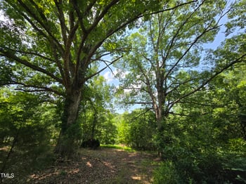 8564 Crutchfield Rd Lot 1, Snow Camp, NC 27349