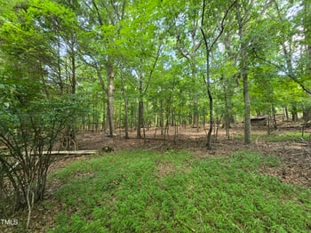8564 Crutchfield Rd Lot 1, Snow Camp, NC 27349