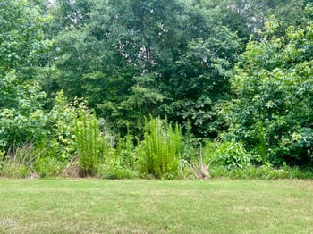 857 Stable Fern Dr, Fuquay Varina, NC 27526