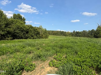 8585 Dirgie Mine Rd Lot 1, Roxboro, NC 27574