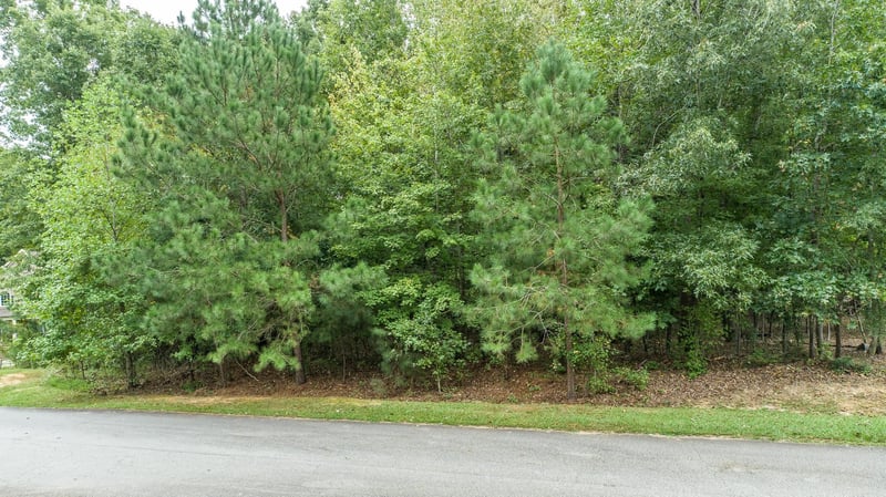 86 Fort Boone Ct Lot 100, Clayton, NC 27527