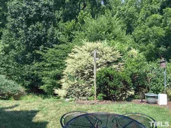 8605 London Park Ct, Raleigh, NC 27615