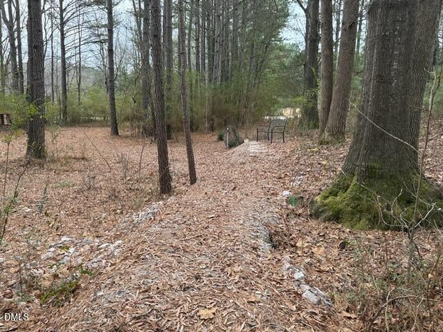 8613 Breezy Grove Trl, Wake Forest, NC 27587