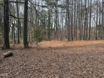 8613 Breezy Grove Trl, Wake Forest, NC 27587