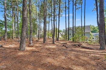 8617 Malahar Ln, Angier, NC 27501
