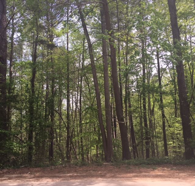 8640 Gleneagles Dr Lot 2, Raleigh, NC 27613