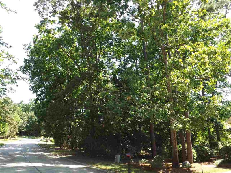 86500 Holmes Lot 379, Chapel Hill, NC 27517