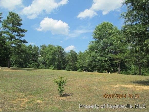 867 Valley Pine Ln, Sanford, NC 27330