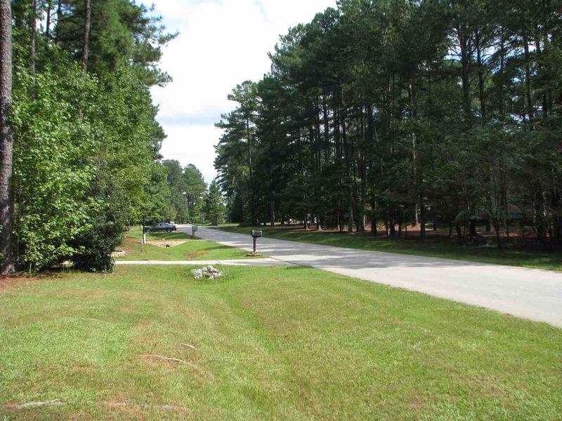 869 Southwick Ave, Clayton, NC 27520