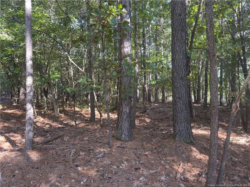 87 Canterbury Rd, Sanford, NC 27332