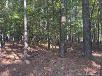 87 Canterbury Rd, Sanford, NC 27332