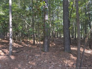 87 Canterbury Rd, Sanford, NC 27332