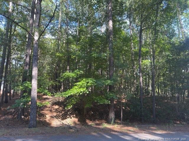 87 Canterbury Rd, Sanford, NC 27332