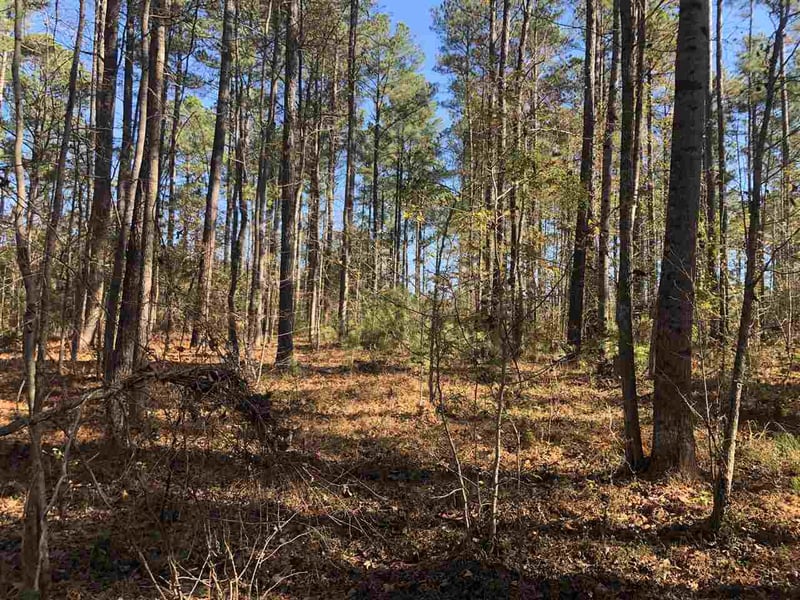87 Masonary Ln Lot 3, New Hill, NC 27562