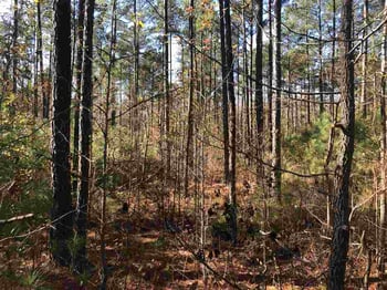 87 Masonary Ln Lot 3, New Hill, NC 27562
