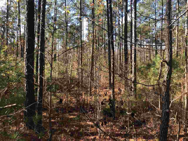 87 Masonary Ln Lot 3, New Hill, NC 27562