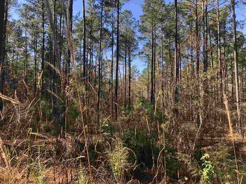87 Masonary Ln Lot 3, New Hill, NC 27562