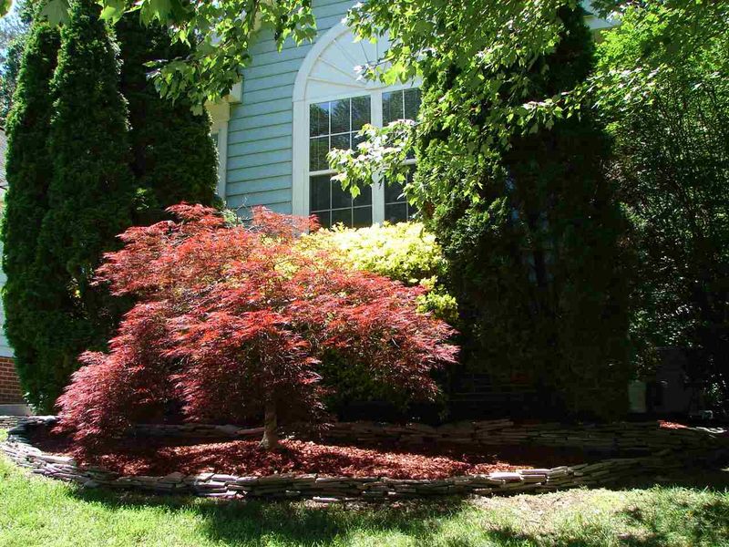8718 Harps Mill Rd, Raleigh, NC 27615