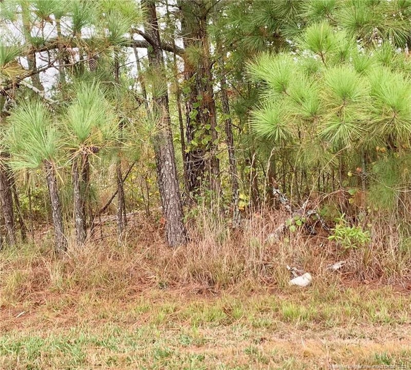 8726 Nc 27 Rd, Lillington, NC 27546