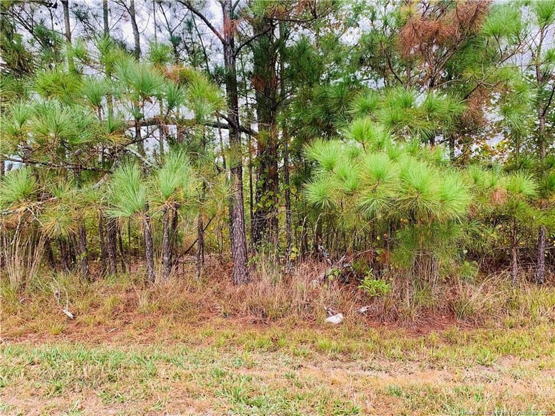 8726 Nc 27 Rd, Lillington, NC 27546