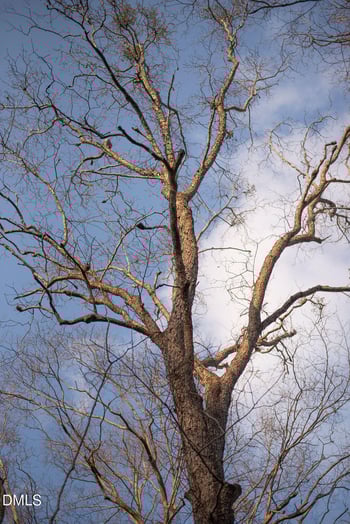 8729 Allison Rd, Cedar Grove, NC 27231