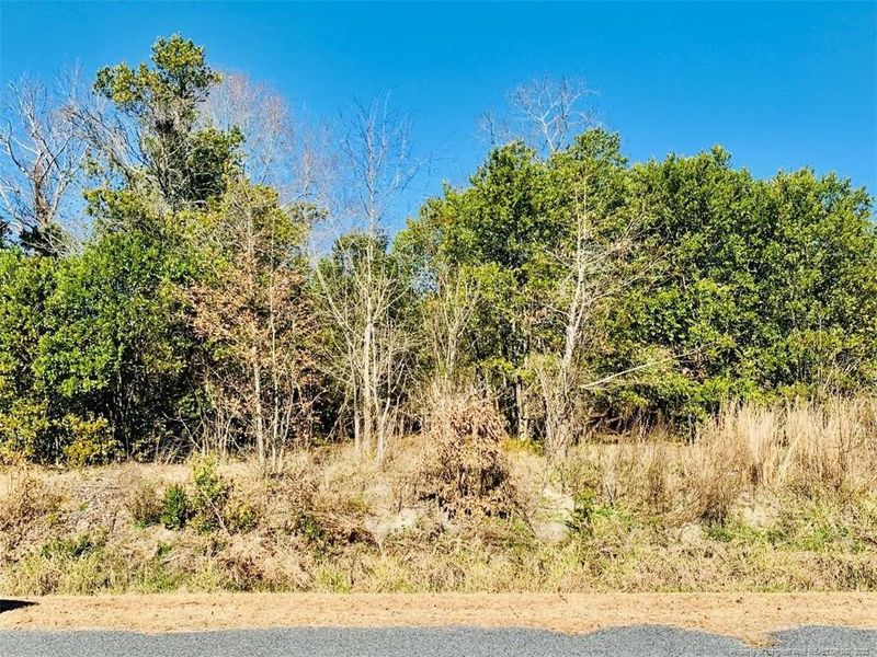 88 Suitt Rd, Lillington, NC 27546