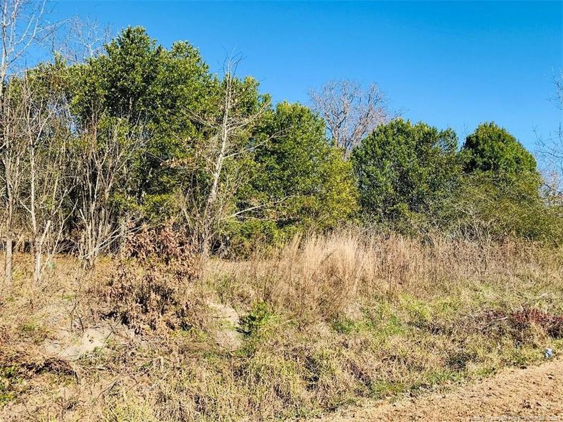 88 Suitt Rd, Lillington, NC 27546