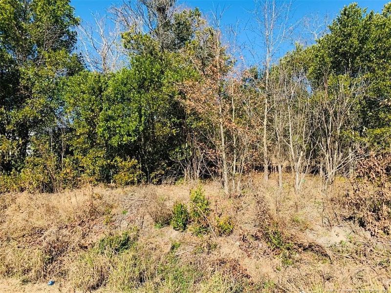 88 Suitt Rd, Lillington, NC 27546