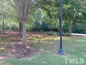 8829 Orchard Grove Way, Raleigh, NC 27612