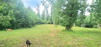 889 Whitley Rd, Middlesex, NC 27557