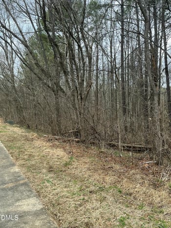 89 Lot Haynoke Dr Lot 145205, Graham, NC 27253