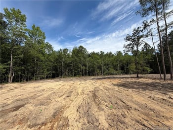 89 Omie Branch Ln, Lillington, NC 27546