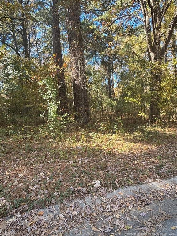 893 Marsh St, Fayetteville, NC 28301