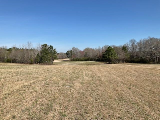 894 Black Creek Rd, Four Oaks, NC 27524