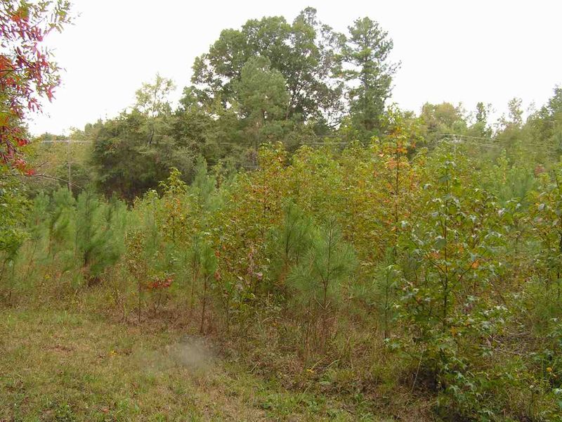 898 Old Siler City Rd, Pittsboro, NC 27312