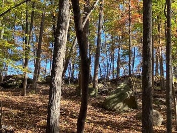 9 Buttonwood Ln Lot 9, Roxboro, NC 27574